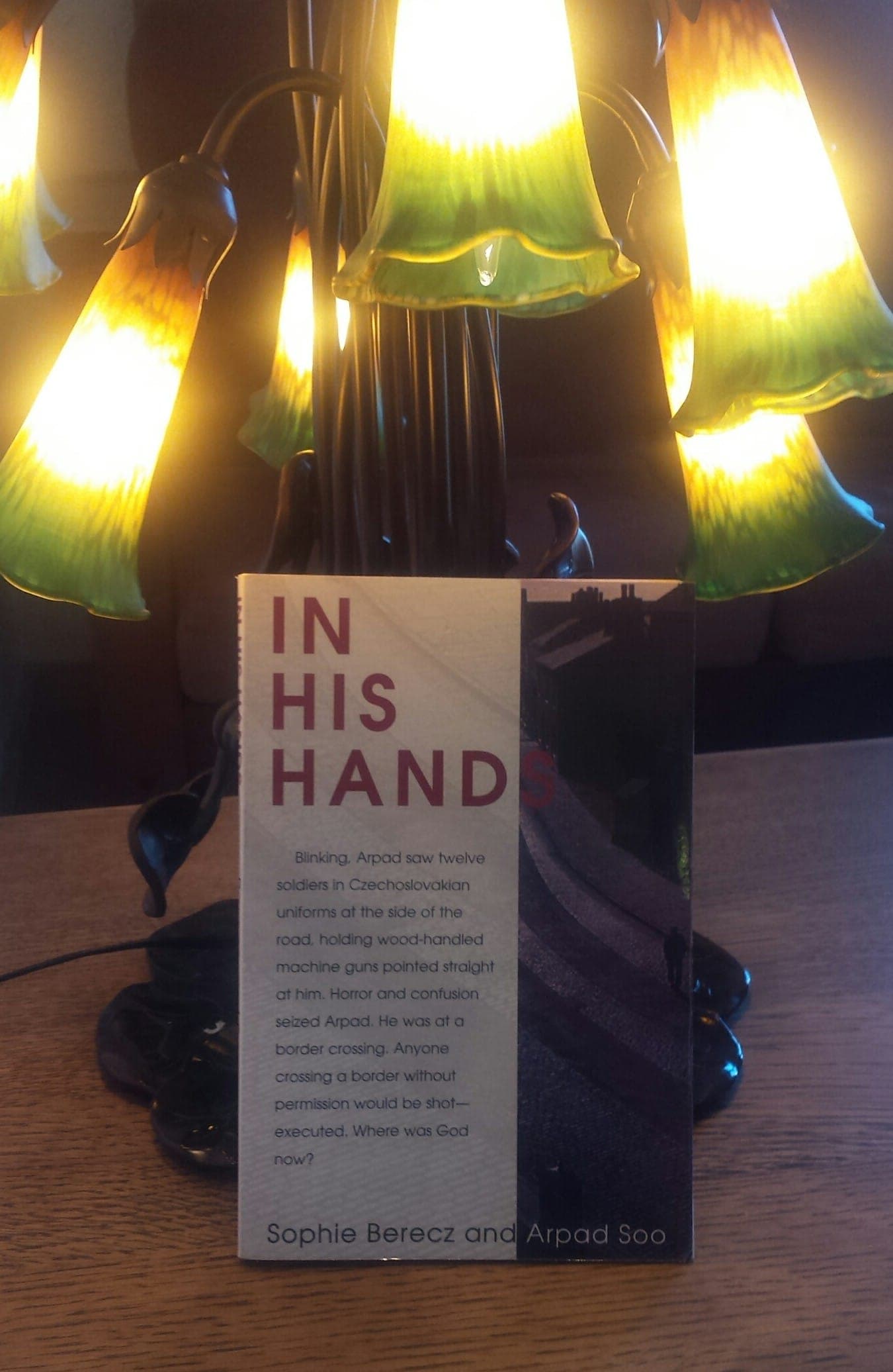 A book titled "In His Hands" by Sophie Berecz and Arpad Soo is displayed on a table beside a decorative lamp.