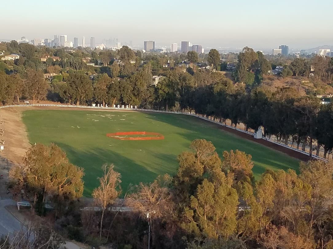 A wide view of a green baseball field surrounded by trees, with a city skyline in the background.
