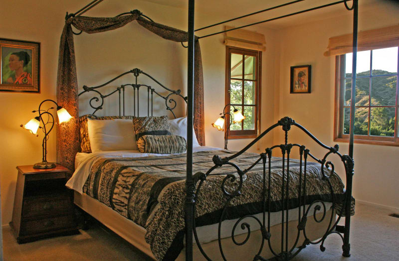 Me Tarzan, You Jane Room interior