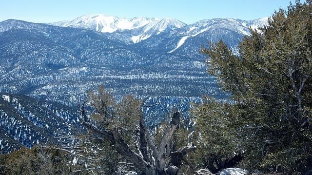 Snow-capped mountains rise majestically above a dense forest landscape.