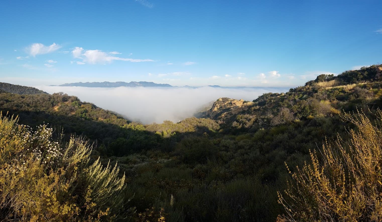 A panoramic view of a valley shrouded in fog, with mountain peaks visible in the distance under a blue sky.