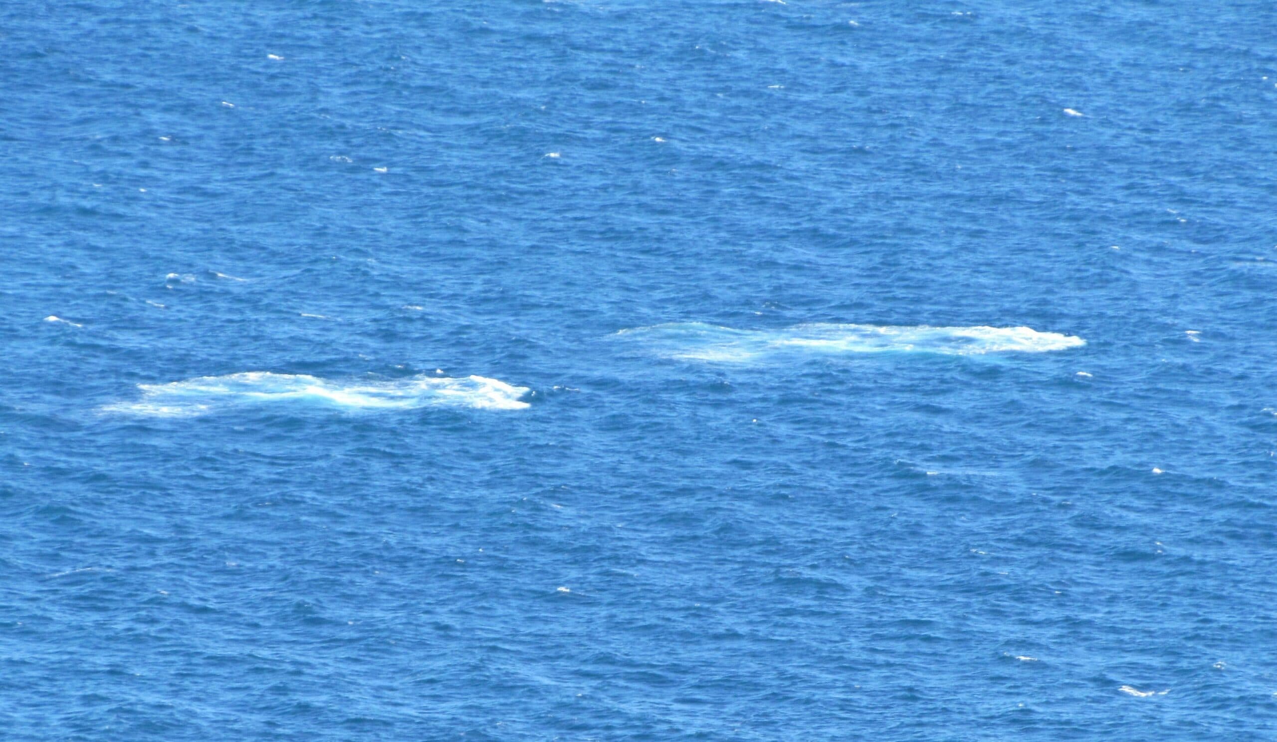 Two indistinct patches of water in a blue ocean.