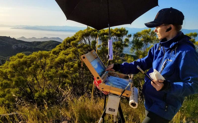 An artist paints outdoors, sheltered by an umbrella, with a scenic view of mountains and valleys in the background.